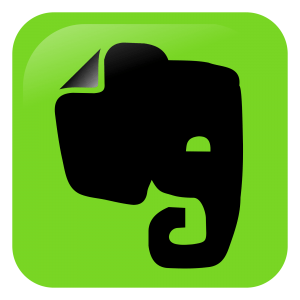 Download Evernote for iPad