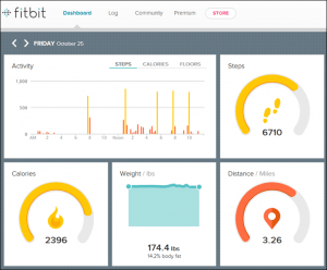 Download Fitbit App for iPad