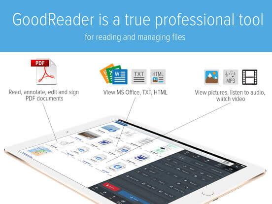 Download GoodReader for iPad