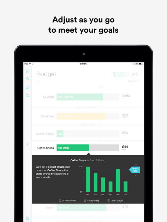 Download Mint for iPad
