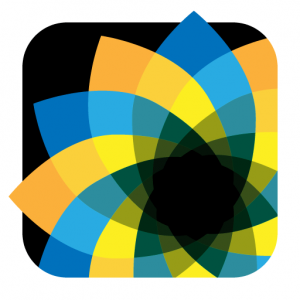 Download Amaziograph app for iPad