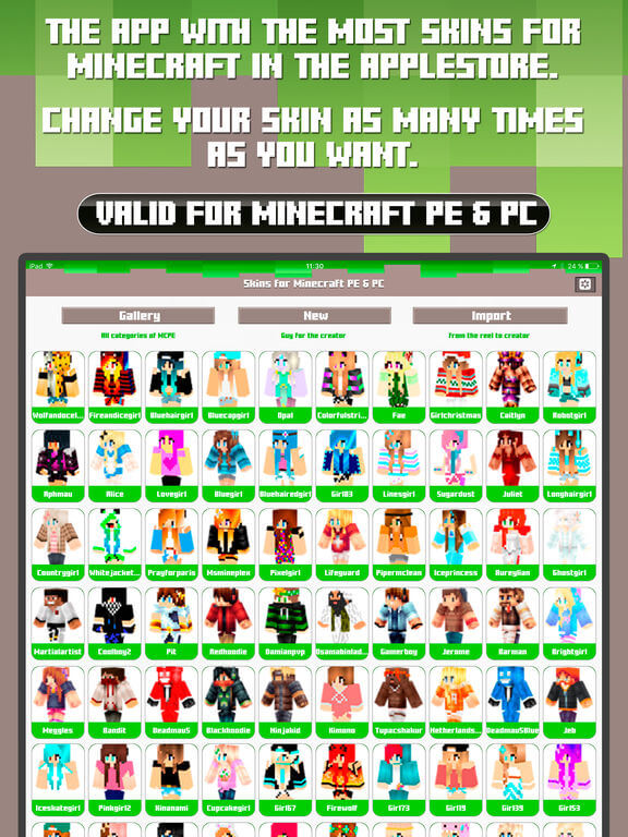 Download Minecraft Skins for iPad