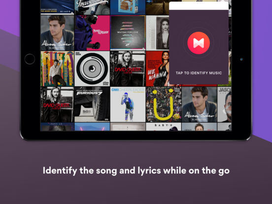 Download Lyrics App for iPad