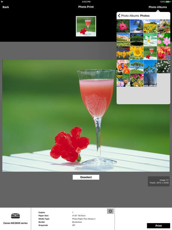 Download Canon Printer App for iPad