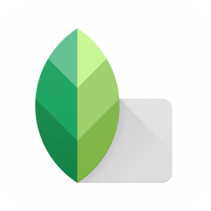 Download Snapseed for Mac