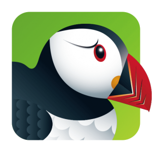 Download Puffin Browser for iPad