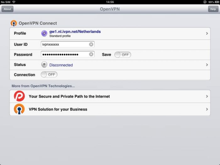 Download OpenVPN for iPad