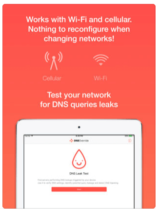 Download DNS for iPad