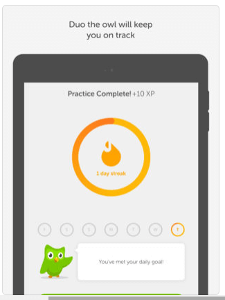 Download Duolingo for iPad
