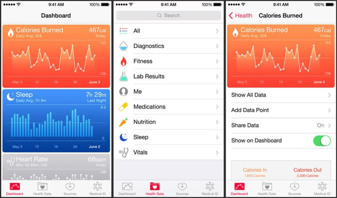 Download Apple Health App for iPad
