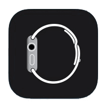 Download Apple Watch App for iPad