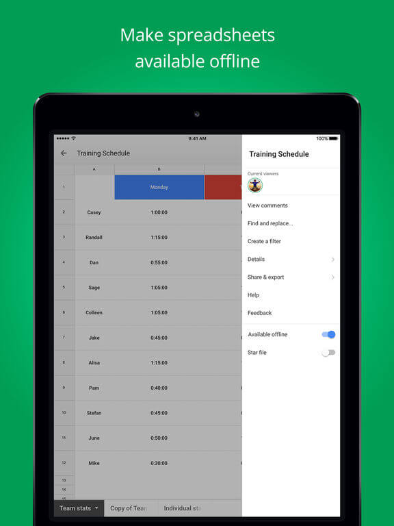 Google Sheets for iPad