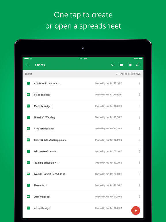 Google Sheets for iPad