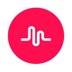 Musical.Ly for iPad Free Download | iPad Multimedia