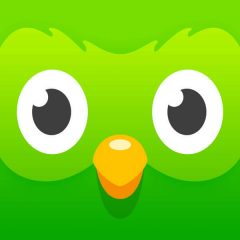Duolingo for iPad Free Download | iPad Education
